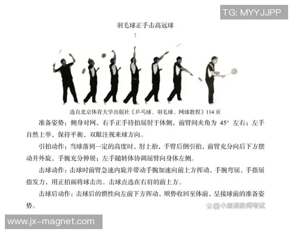 羽毛球战术探讨：解析北京羽毛球队灵活转换体系的优势与应用